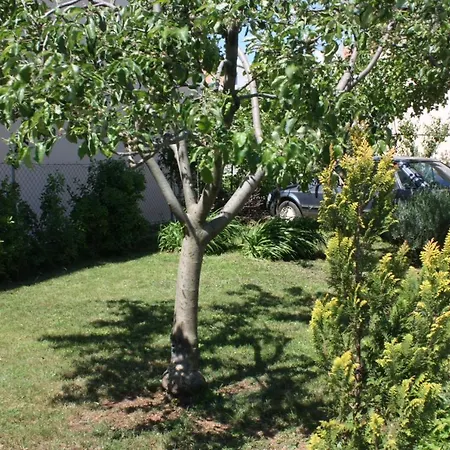 Apartman With Parking Space Turanj, Biograd - 6212 Turanj