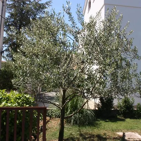 With A Parking Space Turanj, Biograd - 6212 * Turanj