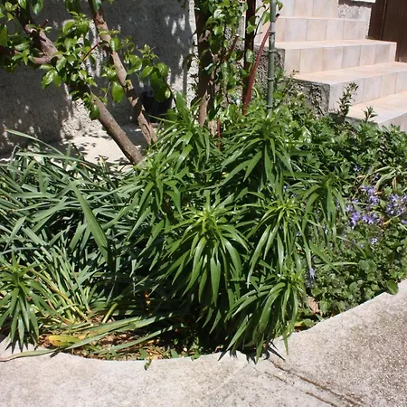 With A Parking Space Turanj, Biograd - 6212 Διαμέρισμα Turanj